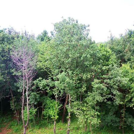 Apartment Astrea *